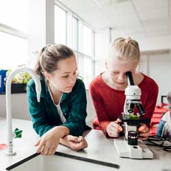 MINT Förderung - Kinder forschen mit Mikroskopen im Schülerlabor