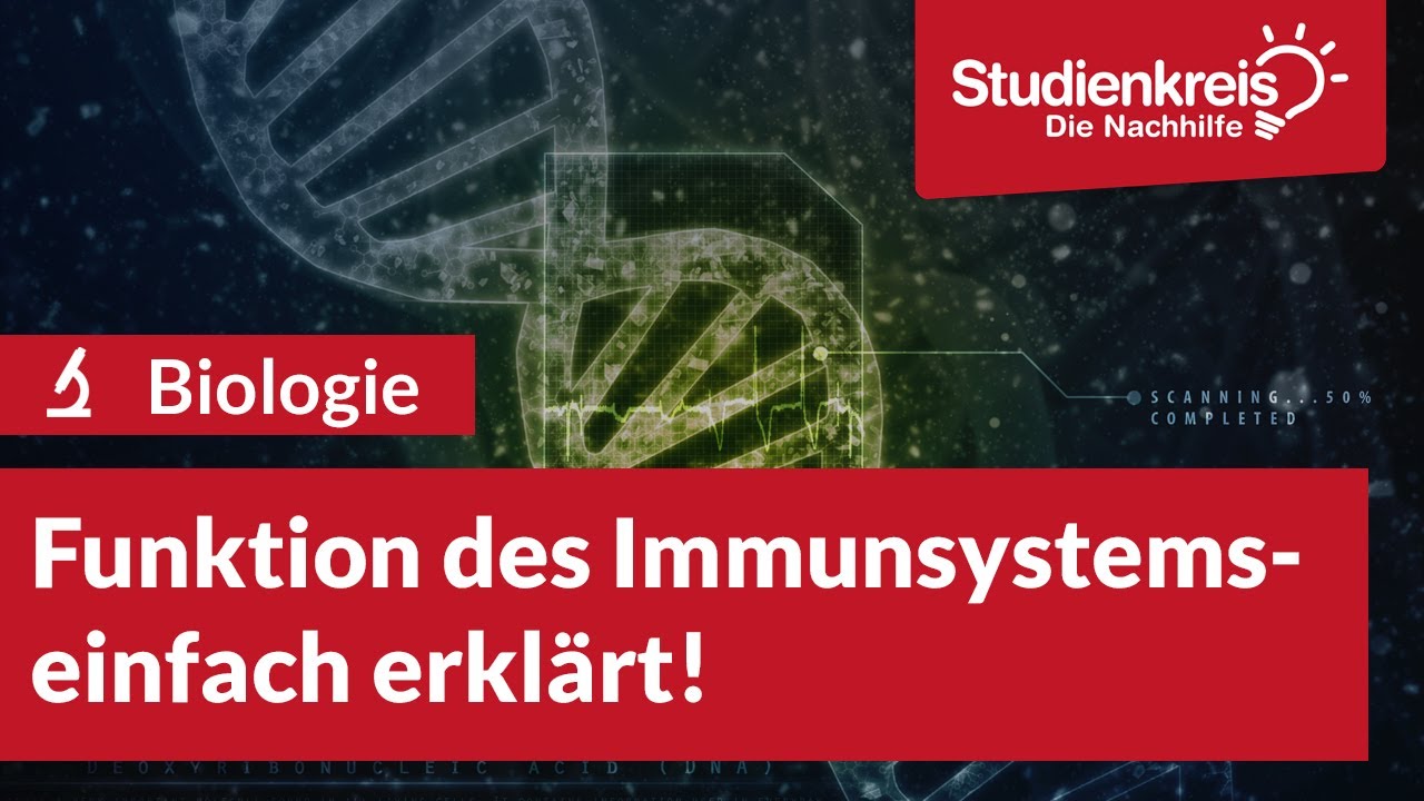 Funktion des Immunsystems! | Biologie verstehen mit dem Studienkreis